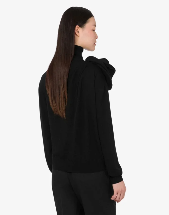 Pull à col roulé en laine mérinos