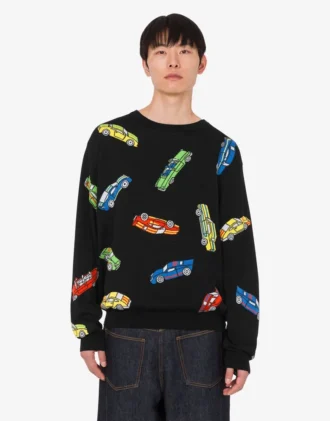 Pull en pur coton intarsia