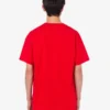 T-shirt en jersey de coton biologique Goose