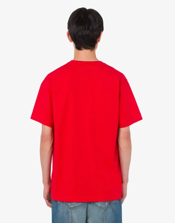 T-shirt en jersey de coton biologique Goose