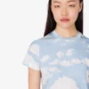 T-shirt en jersey de coton biologique Nuage d’archives T-shirt en jersey de coton biologique Nuage d’archives