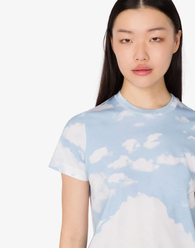 T-shirt en jersey de coton biologique Nuage d’archives T-shirt en jersey de coton biologique Nuage d’archives