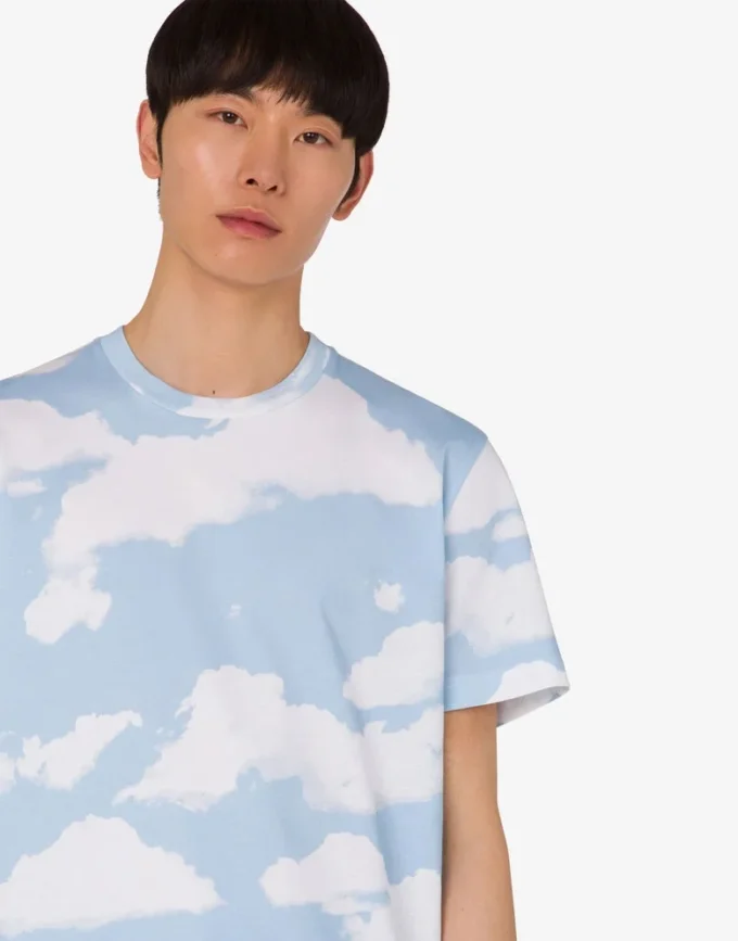 T-shirt en jersey de coton biologique Nuage d’archives T-shirt en jersey de coton biologique Nuage d’archives
